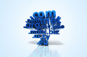 Are You Following these Rules for Choosing The Domain Name?
